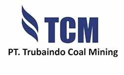 TCM